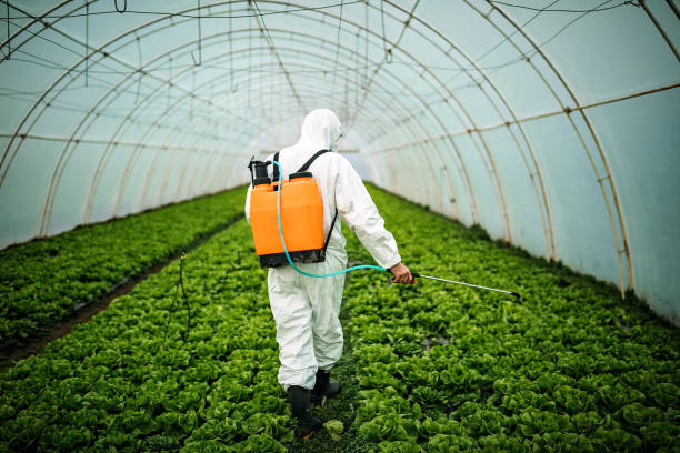 Best Mosquito Control Services  in Graymoor Devondale, KY