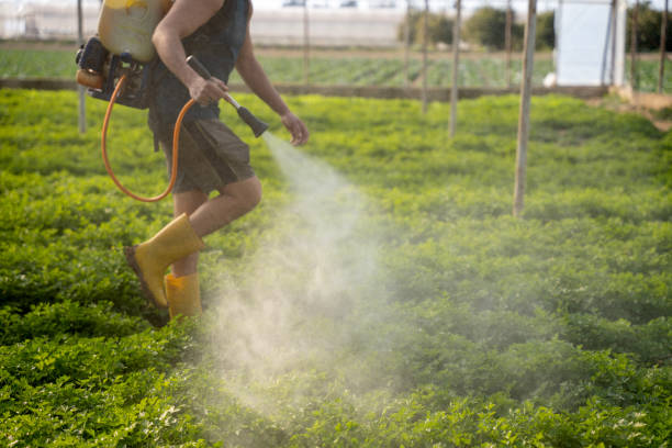 Best Affordable Pest Control Services  in Graymoor Devondale, KY