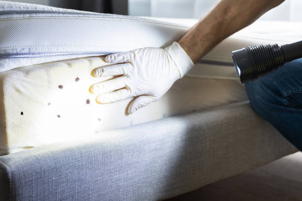 Best Exterminator Services  in Graymoor Devondale, KY