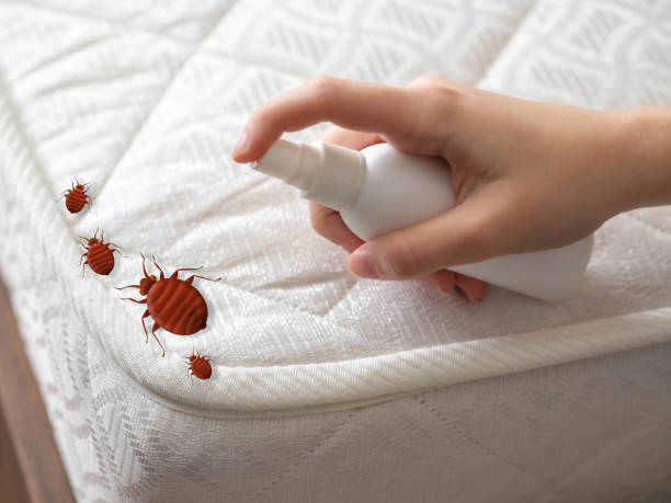 Best Flea Control Services  in Graymoor Devondale, KY