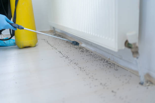 Best Best Pest Control Companies  in Graymoor Devondale, KY