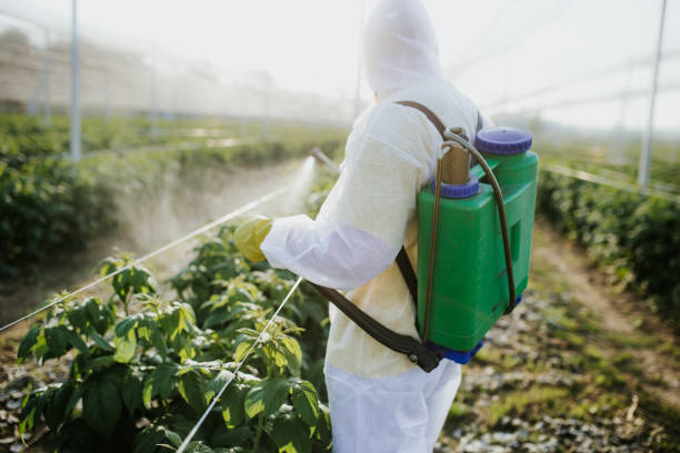 Best Wasp Removal Services  in Graymoor Devondale, KY